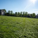 _DSC5842