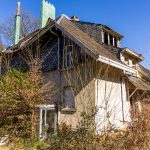 IMG_0533